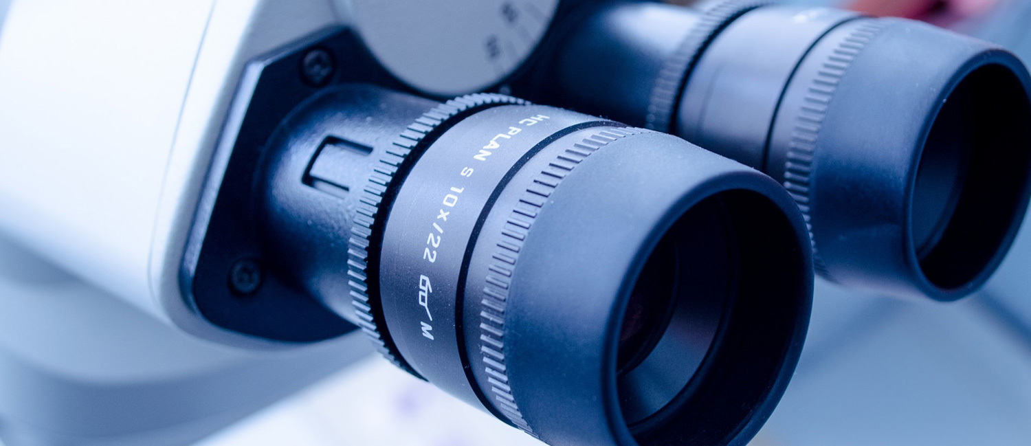 Описание изображения